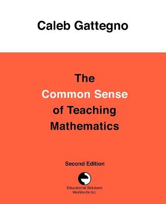 Book cover for The Common Sense of Teaching Mathematics