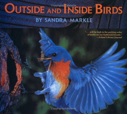 Book cover for Outside and Inside Birds