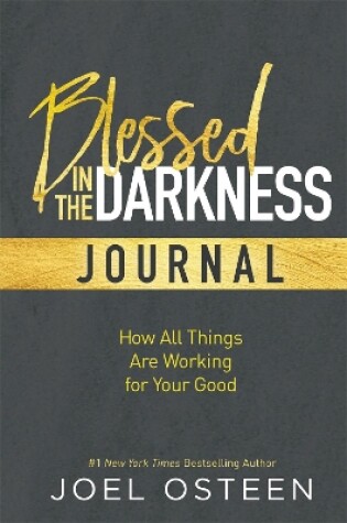 Cover of Blessed in the Darkness Journal