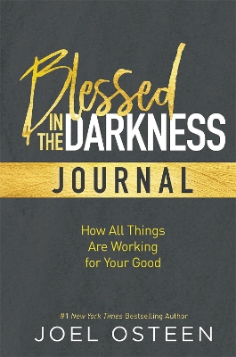 Book cover for Blessed in the Darkness Journal