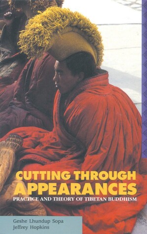 Book cover for Cutting Through Appearances