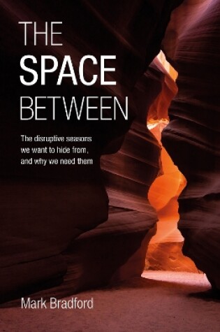 Cover of The Space Between