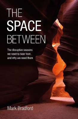 Book cover for The Space Between