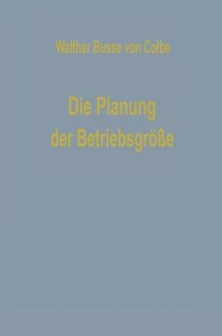 Cover of Die Planung der Betriebsgröße