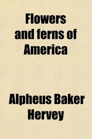 Cover of Flowers and Ferns of America (Volume 2)