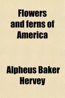 Book cover for Flowers and Ferns of America (Volume 2)