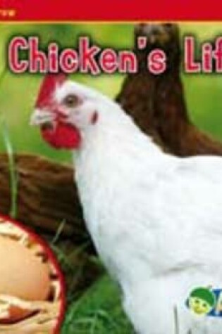 Cover of A Chicken's Life