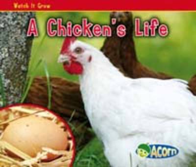 Book cover for A Chicken's Life