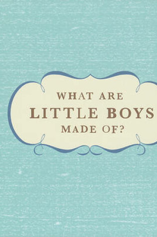 Cover of What Are Little Boys Made Of?