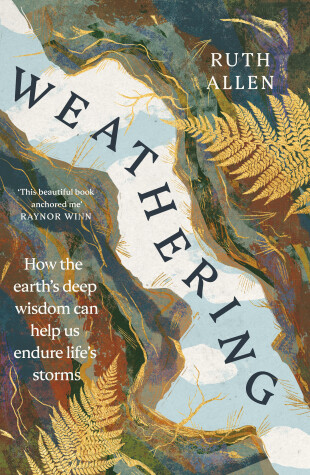 Book cover for Weathering