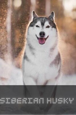 Cover of Siberian Husky
