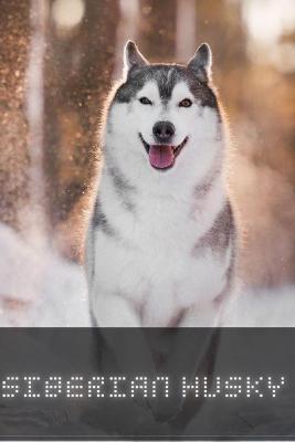 Book cover for Siberian Husky