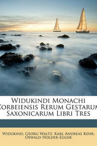 Cover of Widukindi Monachi Corbeiensis Rerum Gestarum Saxonicarum Libri Tres