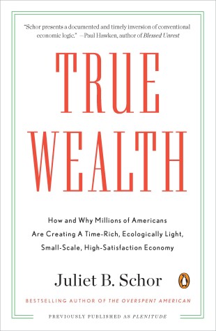 Book cover for True Wealth