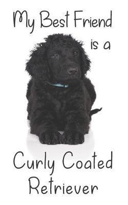 Cover of My best Friend is a Curly Coated Retriever