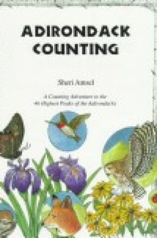 Cover of Adirondack Counting Book