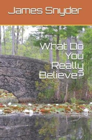 Cover of What Do You Really Believe?