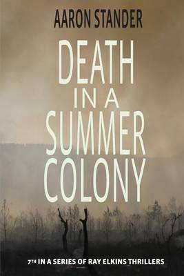 Book cover for Death in a Summer Colony