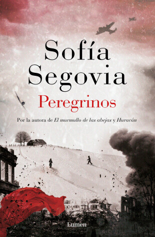 Book cover for Peregrinos / Pilgrims