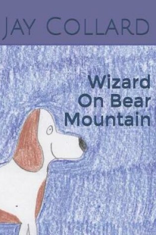 Cover of Wizard on Bear Mountain