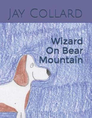 Book cover for Wizard on Bear Mountain