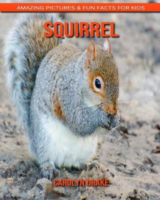 Book cover for Squirrel