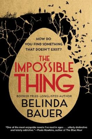 Cover of The Impossible Thing