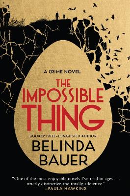 Cover of The Impossible Thing