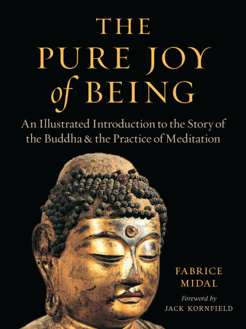 Book cover for The Pure Joy of Being