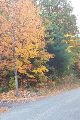 Book cover for Journal Rural Road Rustic Fall Colors