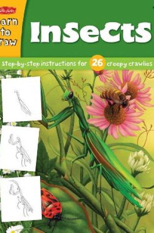 Cover of Learn to Draw Insects