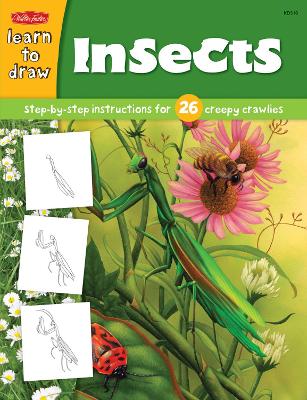 Cover of Learn to Draw Insects