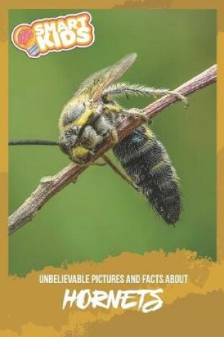 Cover of Unbelievable Pictures and Facts About Hornets