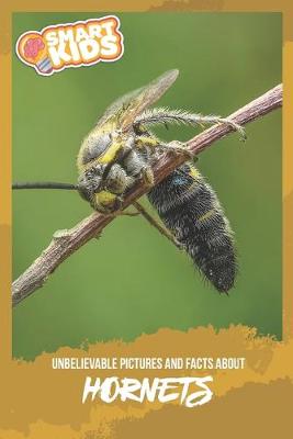 Book cover for Unbelievable Pictures and Facts About Hornets