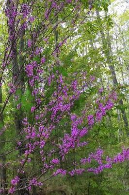 Book cover for Journal Early Spring Lilac Branches