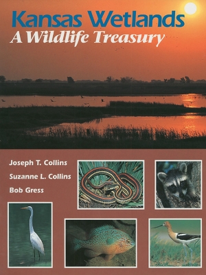 Book cover for Kansas Wetlands