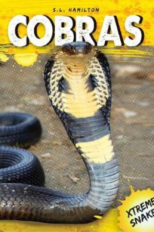 Cover of Cobras