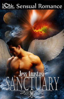 Book cover for Sanctuary