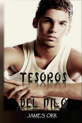 Book cover for Tesoros del Nilo