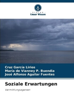 Cover of Soziale Erwartungen