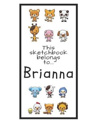 Book cover for Brianna Sketchbook