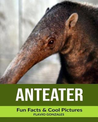 Book cover for Anteater