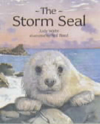 Book cover for The Storm Seal