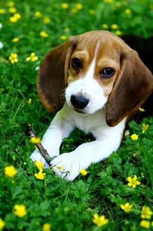 Cover of Cute Beagle Puppy in the Park Journal