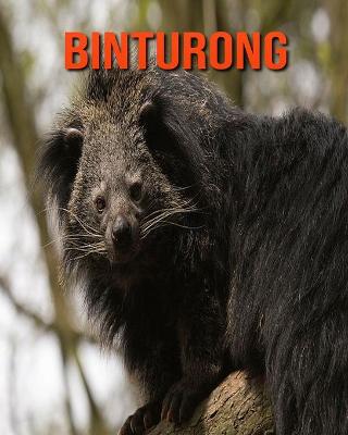 Book cover for Binturong