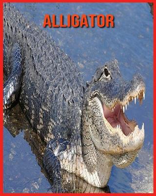 Book cover for Alligator