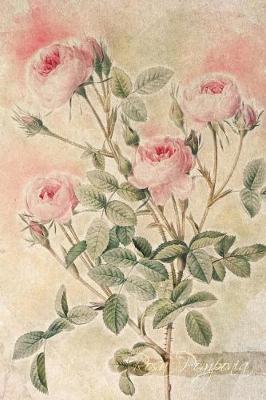Cover of Rosa Pomponia
