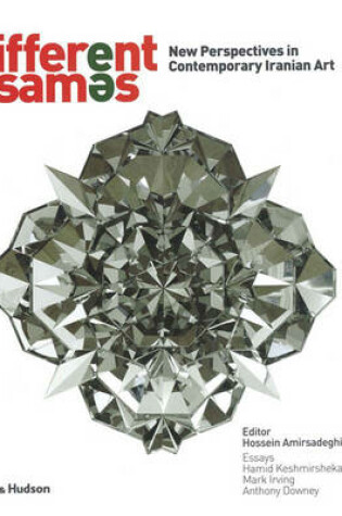 Cover of Different Sames: New Perspectives in