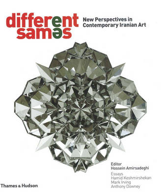 Book cover for Different Sames: New Perspectives in