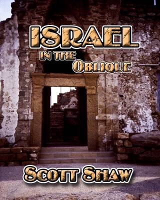 Book cover for Israel in the Oblique
